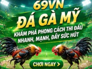 Đá Gà Mỹ 69VN – Phong Cách Thi Đấu Nhanh, Kịch Tính Và Đầy Sức Hút