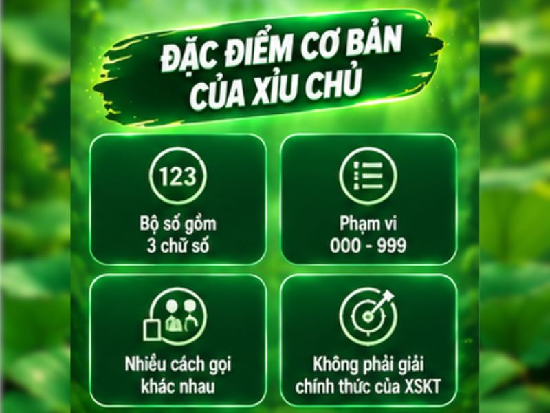 Đặc Điểm Cơ Bản Của Xỉu Chủ