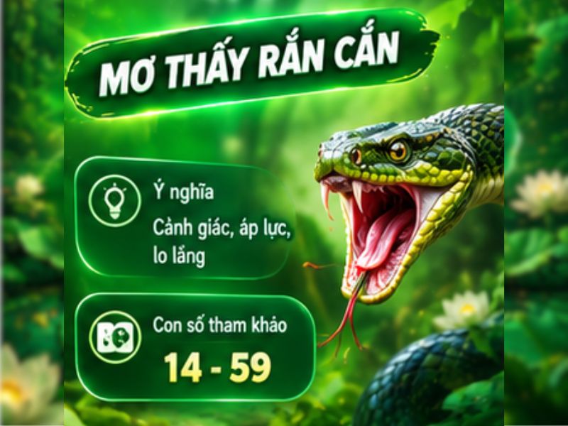 Giải Mã Giấc Mơ Thấy Mơ Thấy Rắn Cắn
