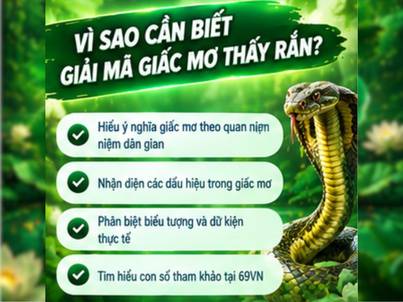 Giải Mã Giấc Mơ Thấy Rắn Có Ý Nghĩa Gì