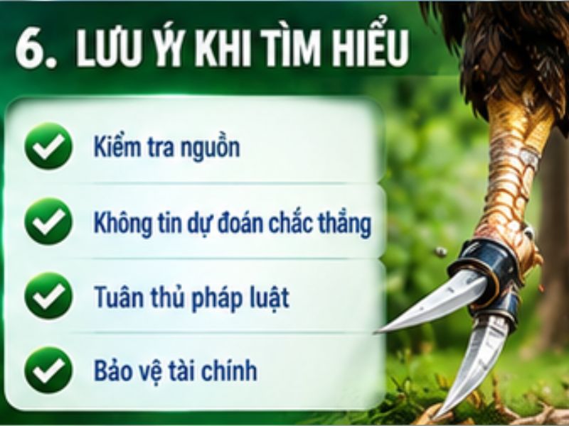Lưu Ý Khi Tìm Hiểu Nội Dung Đá Gà Mỹ 69VN