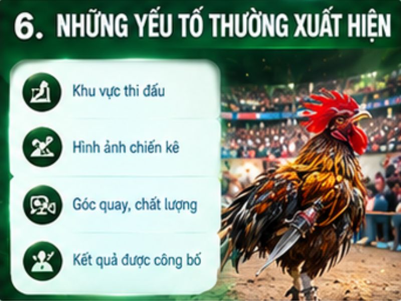 Những yếu tố thường xuất hiện trong nội dung đá gà cựa dao