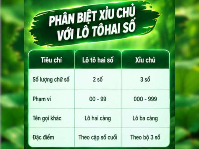 Phân Biệt Xỉu Chủ Với Lô Tô Hai Số