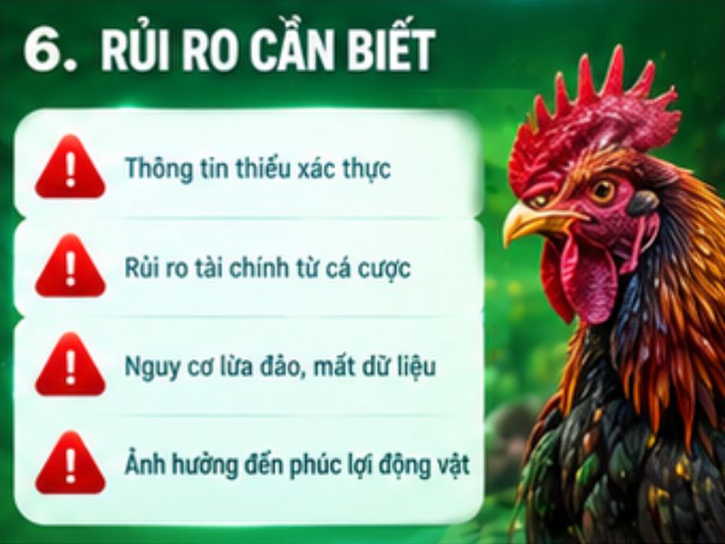 Rủi ro khi tiếp cận nội dung đá gà cựa sắt trực tuyến