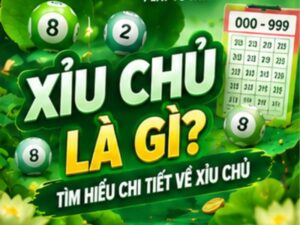 Xỉu Chủ 69VN Là Gì_ Tìm Hiểu Chi Tiết Về Xỉu Chủ Trong Xổ Số